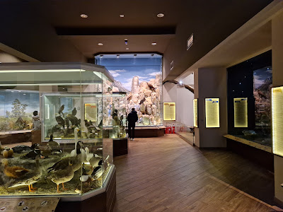 Natural History Museum of Meteora and Mushroom Museum — fotografia 3