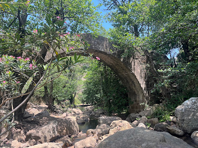 Sendero Rio De La Miel — fotografia 4