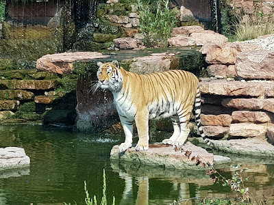 Malkia Park — fotografia 4