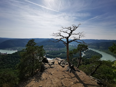 Vogelbergsteig — fotografia 5