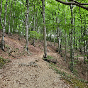 Parco Regionale del Monte Cucco — fotografia 4