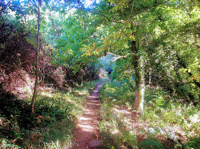 Sendero Galaroza - Castaño del Robledo (Ribera de Jabugo) — fotografia 5