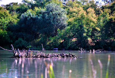 Laguna de Fuente del Rey — fotografia 4