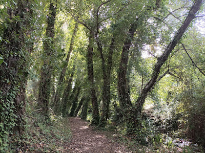 Bosque de las Letras — fotografia 5