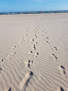 Playa de la Bota — fotografia 5