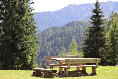 Area picnic