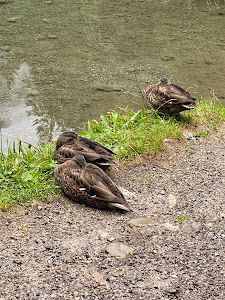 Christlessee — fotografia 5