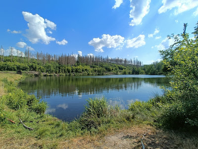Waldcampingplatz Polstertal — fotografia 5