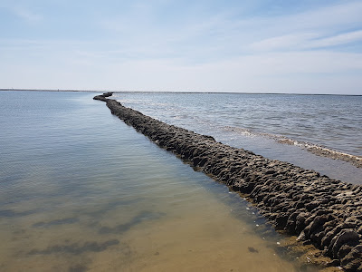 Los Corrales de Rota — fotografia 4