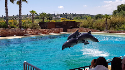 Attica Zoological Park — fotografia 3