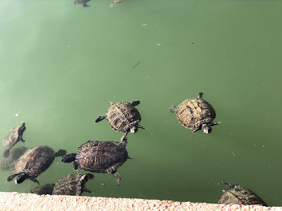 Laguna de La Barrera — fotografia 3
