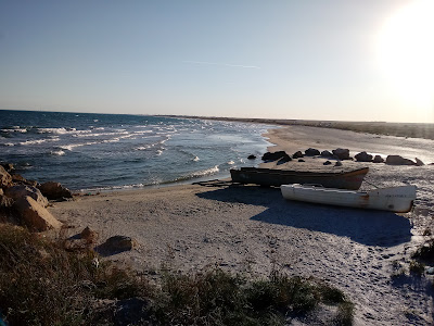 The Wild Beach — fotografia 4