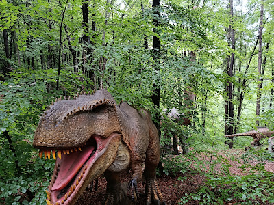 Dino Parc — fotografia 3
