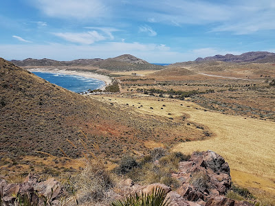 Playa de los Genoveses — fotografia 5