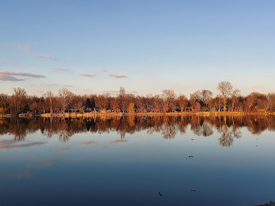 Drava forest — fotografia 3