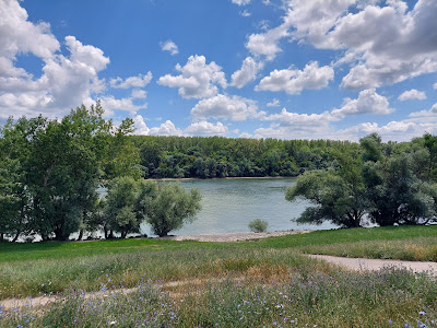 Pünkösdfürdő Park — fotografia 5