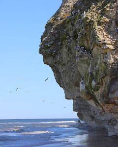 Bulbjerg Knude Fuglefjeld — fotografia 3