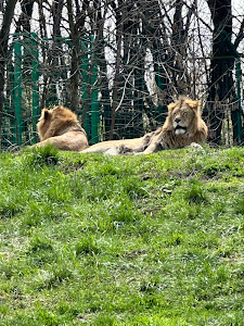 Grădina Zoologică Bucov (Ploiești) — fotografia 3