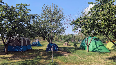 Camping Turtle Camp — fotografia 5