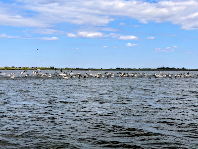 Lacul Băclăneştii Mari