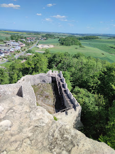 Pilcza Castle — fotografia 5