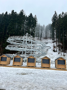 Forest Coaster — fotografia 5