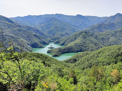 Parco Nazionale delle Foreste Casentinesi, Monte Falterona e Campigna — fotografia 5