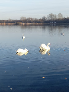 Šoderica — fotografia 3