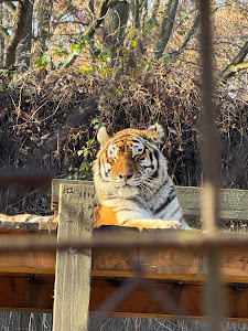 Miskolc Zoo — fotografia 3