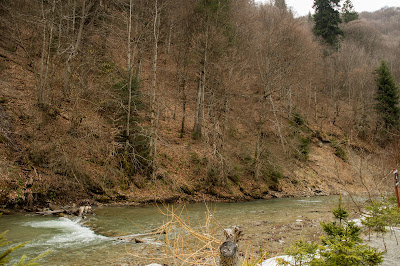 Staţia Paltin CFF Mocăniță — fotografia 4