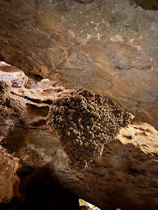 Szemlő-hegyi Cave — fotografia 4