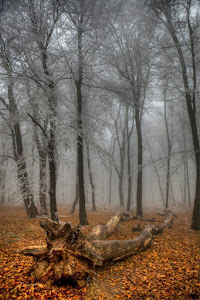 Dobogó-kő — fotografia 5