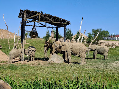 Zoo Zlín — fotografia 4