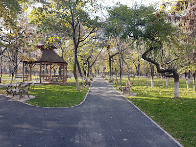 Parcul Pușkin - Crizantemelor