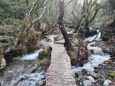 Pavliani Recreation Park