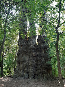Pörbölyi Titán (Nagyfa)