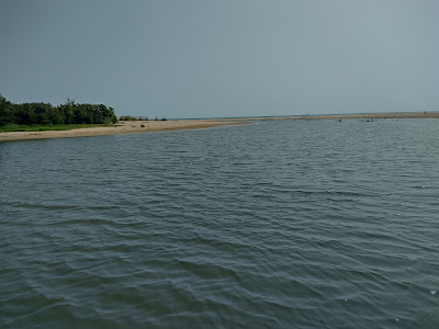 Boat tours of river Kamchia — fotografia 5