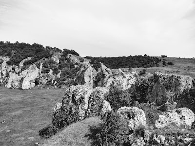 Rezervaţia Geologică "Cheile Dobrogei" — fotografia 5