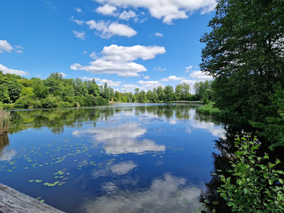 Białowieża National Park — fotografia 5
