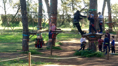 Bosque Suspendido — fotografia 4