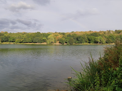 Malomvölgy Lake — fotografia 5