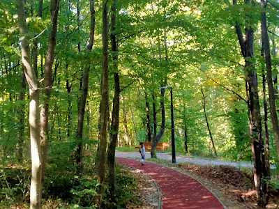 Park-šuma Slatina — fotografia 3