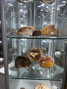 Muzeu Mineral Toda — fotografia 5