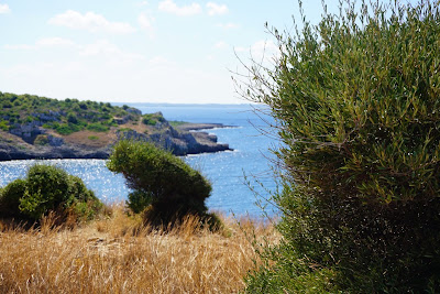 Spiaggia di Porto Selvaggio — fotografia 3