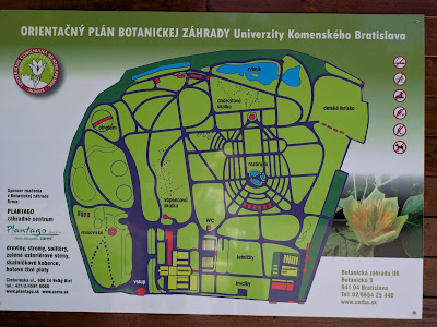 Comenius University Botanical Garden — fotografia 3
