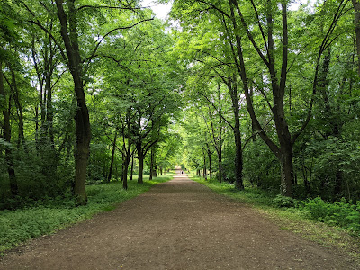 Volkspark Schönholzer Heide — fotografia 4