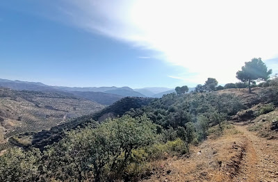 Llano De La Perdiz — fotografia 4
