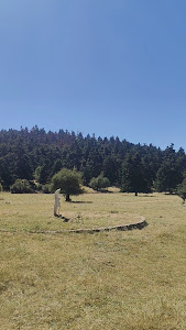 Arvanitsa — fotografia 4