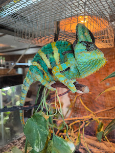 Miskolc Zoo — fotografia 5