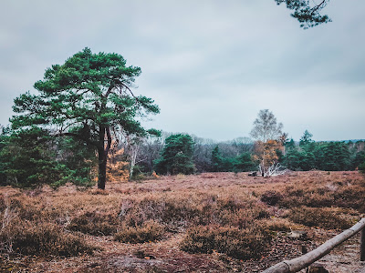Holterberg